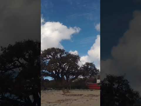 playa agreste punta piedra riachuelo a 10 km de colonia del sacramento Uruguay