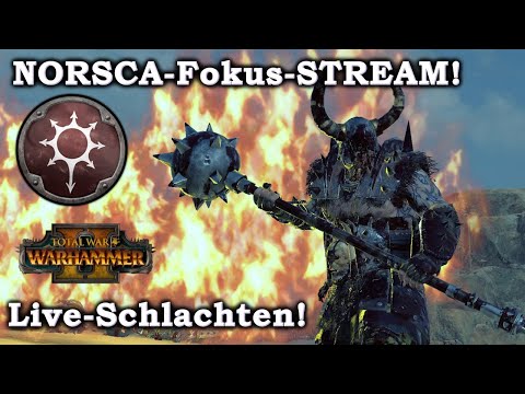 NORSCA-Fokus-STREAM - Total War: Warhammer 2 Multiplayer