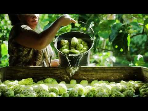 Tahitian Noni Juice by NewAge Singapore