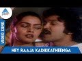 Kairasikkaran Tamil Movie Songs Hey Raaja Kadikkatheenga Video Song S Janaki Ilayaraja