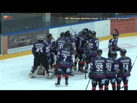 Saison 2015/16 - Wohnbau Moskitos Essen vs Hannover Scorpions - Oberliga Nord - 29.01.2016