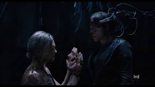 Siouxsie and The Banshees - The Passenger