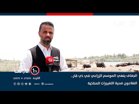 فيديو | الجفاف ينهي الموسم الزراعي في ذي قار.. الفلاحون ضحية التغييرات المناخية تقرير: سائر شنون