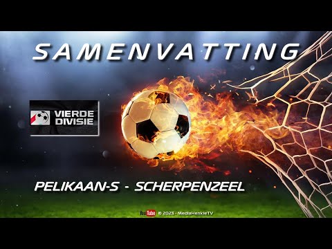 Samenvatting Pelikaan-S  -  Scherpenzeel