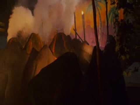 The House Bunny - Open Toes