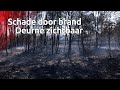 Brandweer hoopt vuur in De Peel vandaag onder controle te krijgen, ruim honderd hectare verwoest