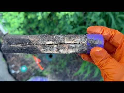 It's a Hit on Our Sentricon® Termite...