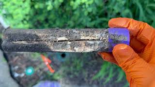 It's a Hit on Our Sentricon® Termite Station in Deal, NJ