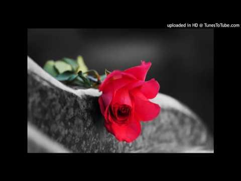 SIONIANA TANIERA _R_I_P.