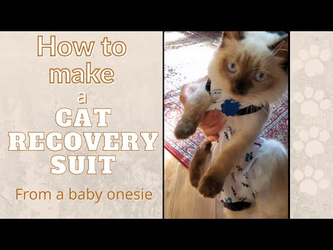 How to make a cat recovery suit from a baby onesie II كيف تعمل لبسه للقطة بعد عملية التعقيم #shorts