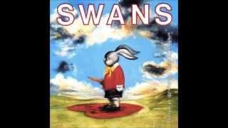Swans - failure