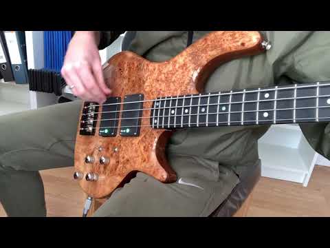 SIMS Super-Quad pickups demo - Fingerstyle