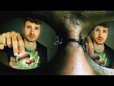 How psilocybin mushrooms changed my life - forever!