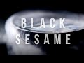Black Sesame Dessert