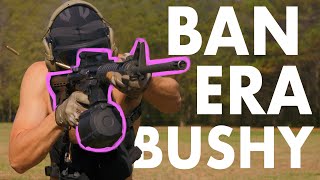 Ban Era Bushmaster XM-15: The 'Cop Gun' Review