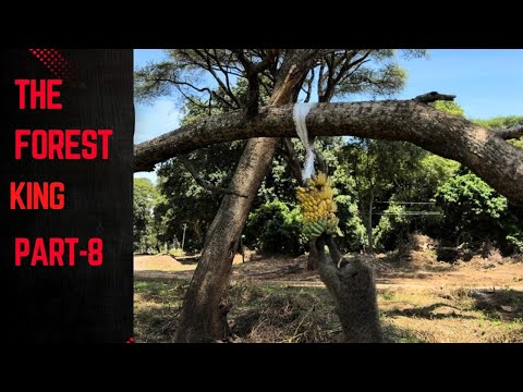 The forest king part-8