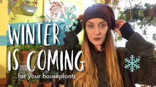 How To Prepare Houseplants For Winter - Cleaning, Grow Lights, Humidity (+bloopers!)