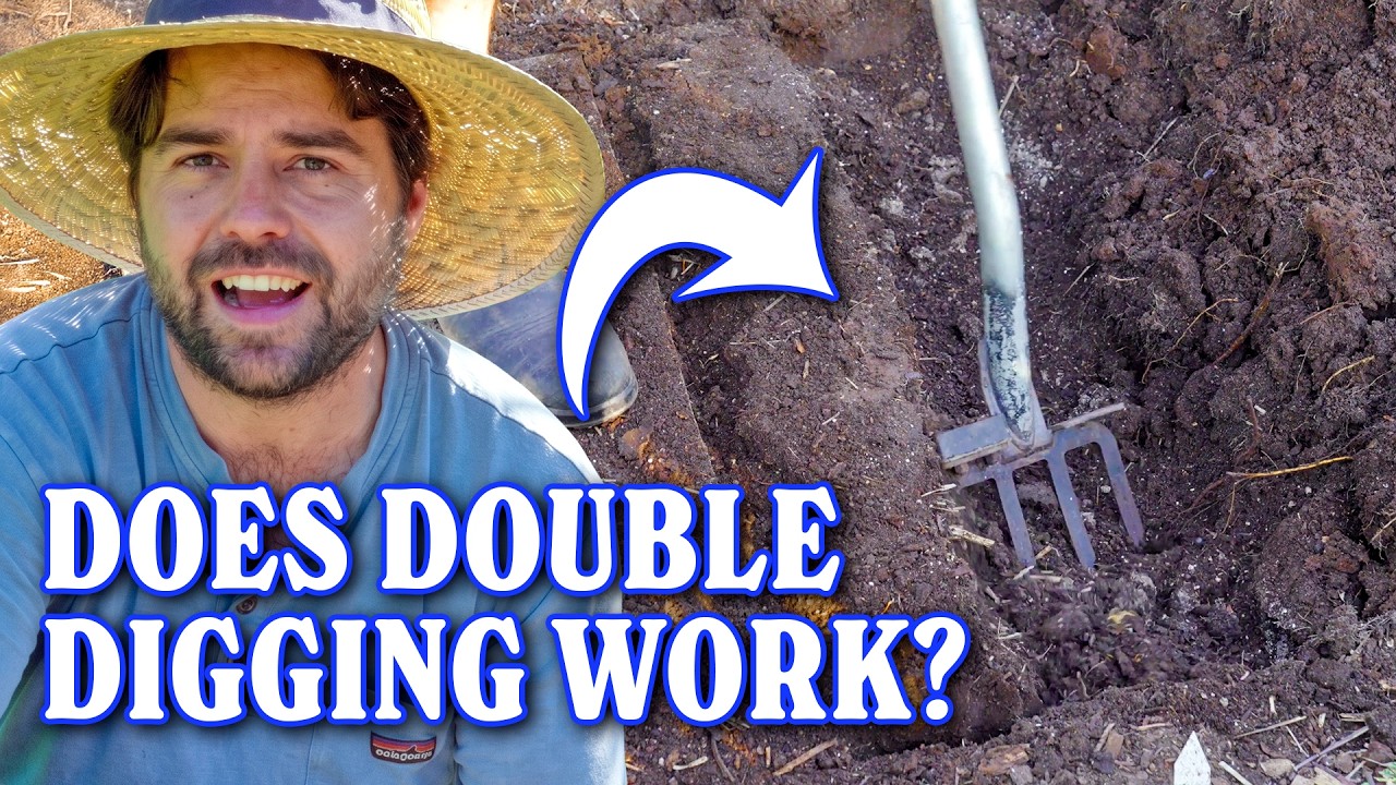 Revive Tired Soil: Why I’m Double Digging My Garden Again