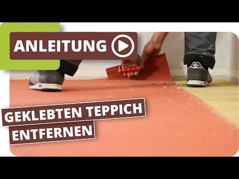 geklebten Teppich entfernen - Teppichkleber ohne schleifen mit Abbeizer entfernen