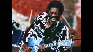 Luther Allison - Little Red Rooster video