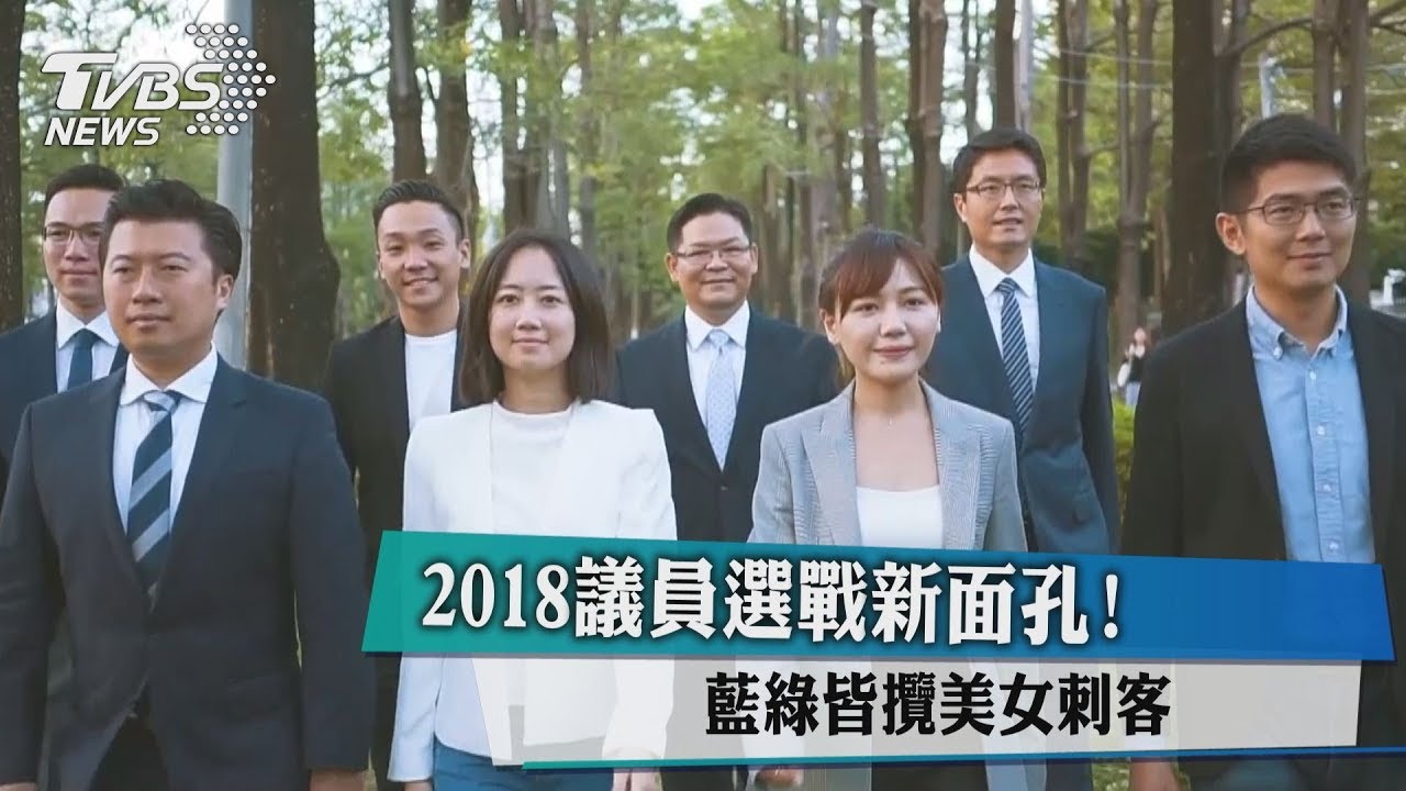 2018議員選戰新面孔! 藍綠皆攬美女刺客