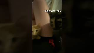 ほぼ寝落ちマン