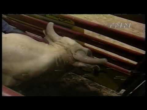 Jim Sharp vs Boogie Man - 99 PBR Finals (84.5 pts)