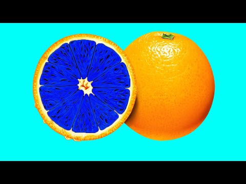 과일, 채소 및 버섯 내부의 숨겨진 패턴 스톱 모션. Hidden Patterns Inside Fruits, Vegetables and Mushrooms stop-motion 3