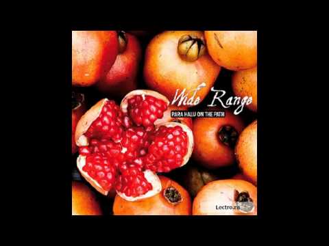 Para Halu On The Path - Methedrine Wave