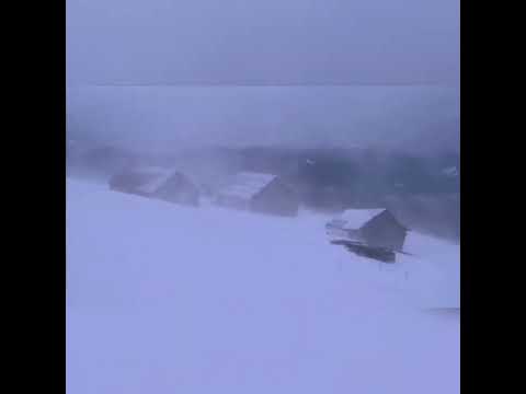 Blizzard to sleep, relax and stay calm | Snow  storm sounds and strong winds