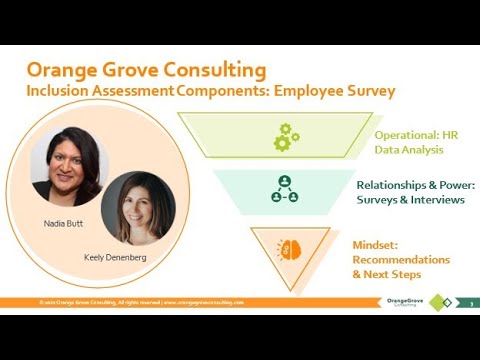 Orange Grove Consulting - Talent Management- vendor materials