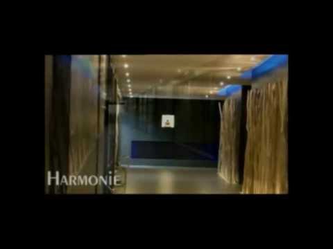 SPA L'O - Présentation