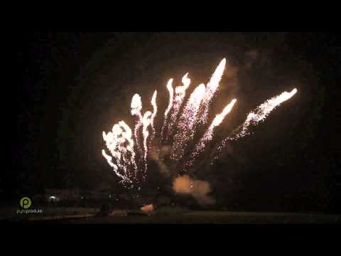 1301-13    13'S Single Row: Silver Dragon