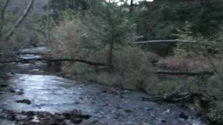 Auction Clearfield PA 400 Acres Auction