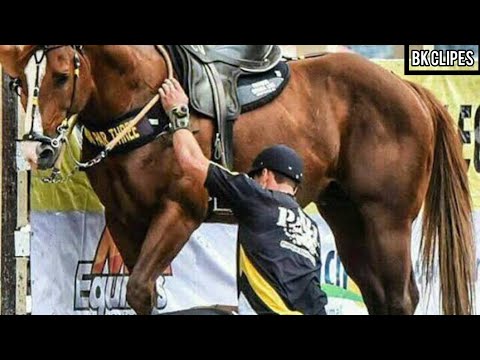 Alô fala comigo-Paulinho paixão,Versão DJ Roberto Gama[Clipe forró]