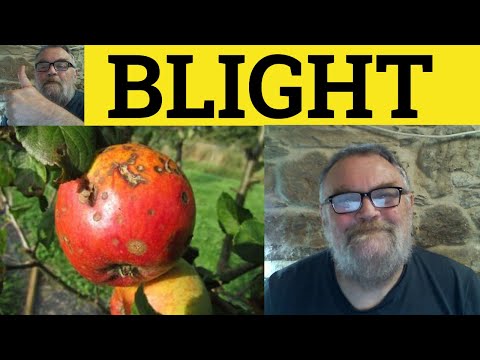 🔵 Blight Meaning - Blighted Examples - Blight Definition - GRE Vocabulary