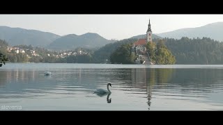 Croatia & Slovenia Film