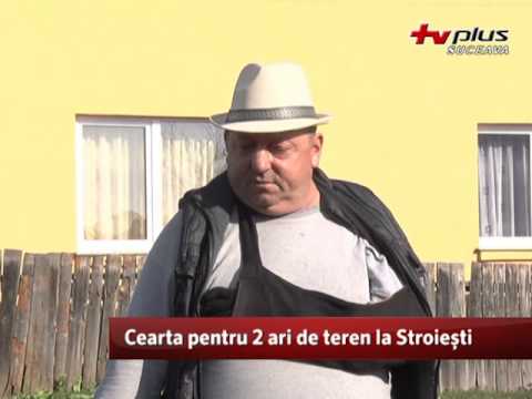 Cearta pentru 2 ari de teren la Stroiesti