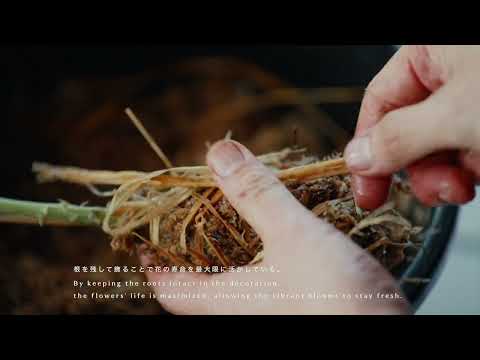 nihonmatsu chrysanthemum dolls　—二本松の菊人形ー