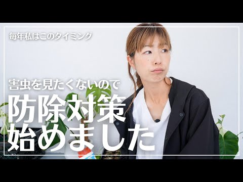 春に植えるべき防虫植物：家から害虫を追い出すトップ5！  庭園