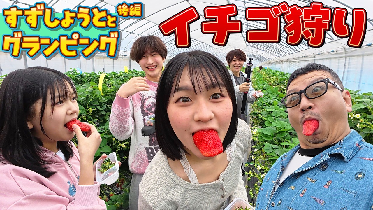 巨大いちご勝負で全員大はしゃぎｗｗおーちゃん念願のいちご狩りが最高♡ひまわりしょうと グランピングでお泊まり第２弾：後編himawari-CH