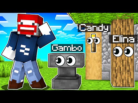 4 YOUTUBER VERSTECKEN SICH in MINECRAFT!