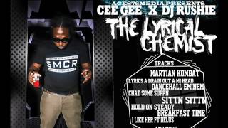 Cee Gee FT Dj Rushie - Lyrical Chemist (promo Mixtape) ACE876MEDIA (NOV 2013)