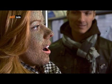 Doku & Reportage 2/3 -  Unsere geheimen Vorfahren - Das Reptil in uns