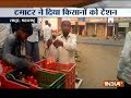 Maharashtra: No buyers for tomatoes, farmers give it away for free
