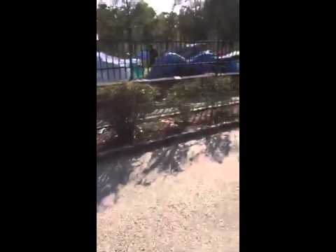 Traiskirchen refugee camp