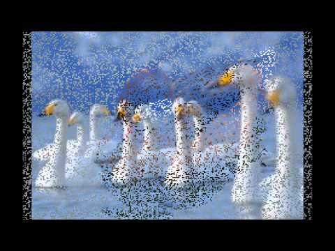 Eduardo Armani   La buchaca