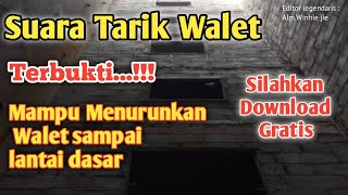Download lagu Suara tarik walet terbukti link download ada di deskripsi mp3
