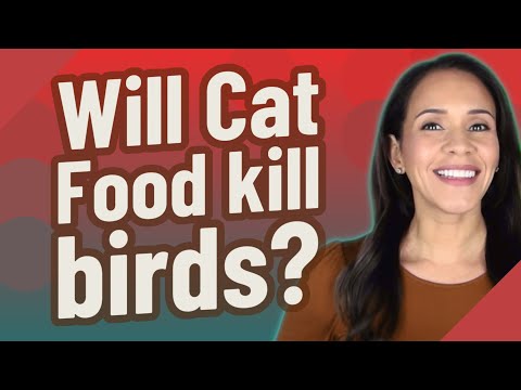 YouTube video about: Can cats get sick from eating birds?
