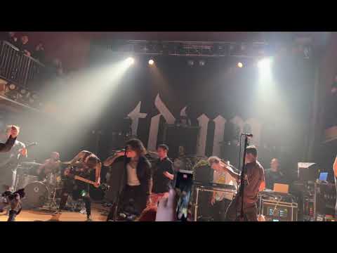 We Came As Romans // Dogs Can Grow Beards All Over (!!!) 2021
